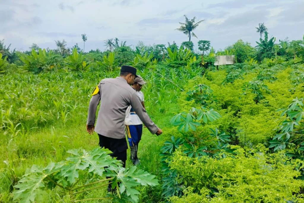 Sinergi Polsek Labuapi dan Petani Jaga Ketahanan Pangan