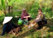 Polsek Labuapi Kawal Ketahanan Pangan di Terong Tawah Lombok Barat
