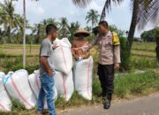 Bhabinkamtibmas Desa Bagik Papan Cek Hasil Panen Padi dan Berikan Himbauan Kamtibmas kepada Warga