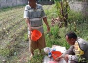 Sinergi Bhabinkamtibmas dan Petani Labuapi: Manfaatkan Lahan Pekarangan Demi Swasembada Pangan