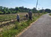 KonseBhabinkamtibmas Desa Surabaya Sambang dan Silaturahmi dengan Warga, Ajak Dukung Ketahanan Pangan serta Jaga Kamtibmas Otomatis