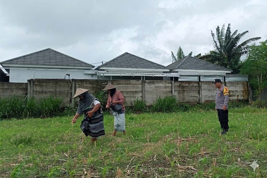 Upaya Polsek Labuapi Perkuat Ketahanan Pangan Lewat Lahan Pekarangan