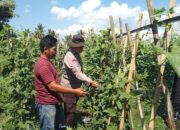 Dukung Ketahanan Pangan, Bhabinkamtibmas Desa Bagu Dorong Warga Manfaatkan Pekarangan Produktif