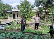 BHABINKAMTIBMAS KELURAHAN JONTLAK DORONG KETAHANAN PANGAN MELALUI DDS DAN SILATURAHMI DENGAN WARGA