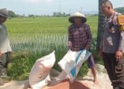 Bhabinkamtibmas Labuapi Pacu Sektor Pangan Desa Kuranji