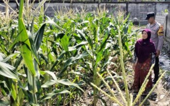 Cara Polsek Labuapi Lombok Barat Akselerasi Program Ketahanan Pangan
