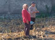 Bhabinkamtibmas Labuapi Dampingi Petani Jagung Sambil Jaga Kamtibmas