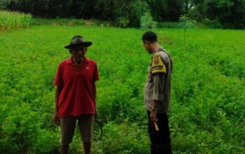 Langkah Kreatif Warga Lombok Barat Sulap Pekarangan Kosong Jadi Sumber Ketahanan Pangan Mandiri