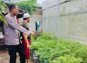Ubah Lahan Kosong Jadi Sumber Gizi, Cara Bhabinkamtibmas Bajur Perkuat Ketahanan Pangan
