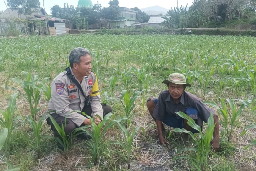 Cara Polsek Batulayar Lombok Barat Perkuat Ketahanan Pangan Desa