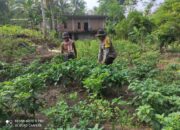 Bhabinkamtibmas Desa Setuta Ajak Warga Manfaatkan Pekarangan dan Jaga Kamtibmas Lingkungan