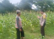 Sinergi Polisi dan Petani Jaga Ketahanan Pangan di Labuapi