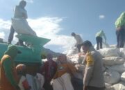 BHABINKAMTIBMAS POLSEK WOJA PANTAU PROSES PENGGILINGAN DAN PENJEMURAN JAGUNG WARGA DI DESA SANEO