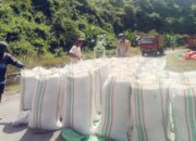 BHABINKAMTIBMAS DESA SANEO MONITORING HASIL PANEN JAGUNG WARGA DI DESA BINAAN