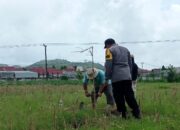 Bhabinkamtibmas Karang Bongkot Dorong Ketahanan Pangan