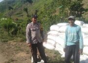BHABINKAMTIBMAS POLSEK WOJA PANTAU PANEN JAGUNG WARGA, DUKUNG KETAHANAN PANGAN NASIONAL