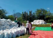 BHABINKAMTIBMAS DESA WOKO PANTAU PROSES PENGGILINGAN DAN PENJEMURAN JAGUNG