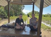 Pastikan Keamanan Area Perkebunan, Bhabinkamtibmas Desa Rhee Loka Sambangi Petani Cabai