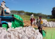 BHABINKAMTIBMAS DESA DOROPETI LAKUKAN PEMANTAUAN HASIL PANEN JAGUNG WARGA