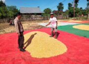 POLRI HADIR DI TENGAH PETANI, BHABINKAMTIBMAS DESA CEMPI JAYA MONITORING HASIL PANEN JAGUNG WARGA