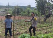 BHABINKAMTIBMAS DESA SONGGAJAH DORONG PEMANFAATAN PEKARANGAN RUMAH UNTUK DUKUNG KETAHANAN PANGAN NASIONAL