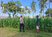 BHABINKAMTIBMAS DESA DOROKOBO MONITORING LAHAN JAGUNG WARGA, DORONG PENINGKATAN PRODUKSI PERTANIAN
