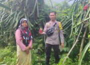 BHABINKAMTIBMAS DESA SONGGAJAH DORONG PEMANFAATAN PEKARANGAN RUMAH UNTUK KETAHANAN PANGAN DAN PENINGKATAN EKONOMI WARGA