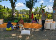 BHABINKAMTIBMAS DESA BANGGO AJAK PETANI SALURKAN HASIL PANEN KE BULOG DAN DUKUNG PEMBERANTASAN NARKOBA