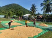 Pemanfaatan Lahan Pekarangan Jadi Pesan Bhabinkamtibmas Saat Pantau Hasil Panen Jagung
