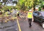 Satlantas Polres Lombok Barat Evakuasi Pohon Tumbang