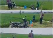 Polsek Soko polres Tuban Polda Jawa Timur Bergerak! Dukung Penuh Swasembada Pangan Presiden Prabowo Melalui Pendampingan Petani