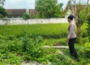 Polri Dukung Astacita, Polsek Merakurak Polres Tuban Turun Cek Tanaman Padi Warga di Desa Tobo