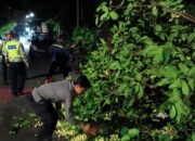 Polsek Batulayar Evakuasi Pohon Tumbang di Jalur Senggigi Lombok Barat