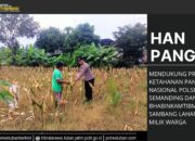 Polri Dukung Astacita, Polsek Semanding Polres Tuban Turun Cek Tanaman jagung milik Warga di Desa Bektiharjo