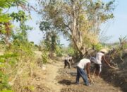 Polsek Jatirogo Sambangi Desa Dingil, Dorong Warga Optimalkan Lahan untuk Ketahanan Pangan