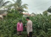 Polsek Grabagan polres Tuban Polda Jawa Timur Dukung Penuh Swasembada Pangan Presiden Prabowo Melalui Pendampingan Petani