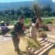 Babinsa Menggala Dampingi Petani Hadapi Panen Terdampak Cuaca