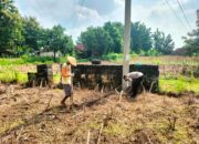 Polsek Jatirogo Polres Tuban tanam bibit jagung bersama Petani di lahan produktif milik warga Desa Sugihan