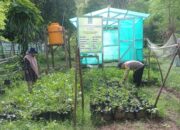 BHABINKAMTIBMAS POLSEK DOMPU DORONG WARGA KEMBANGKAN PEKARANGAN PANGAN LESTARI UNTUK PERKUAT KETAHANAN PANGAN DAN GIZI