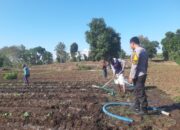DORONG PETANI KEMBANGKAN TANAMAN TUMPANG SARI UNTUK MENINGKATKAN KETAHANAN PANGAN DAN PENDAPATAN KELUARGA