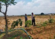 Dukung Program Asta Cita, Anggota Polsek Kerek Dampingi Petani Olah Lahan