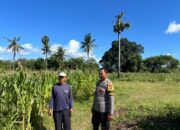 Dukung Program Asta Cita, Bhabinkamtibmas Desa Kelawis Sambangi Petani Jagung
