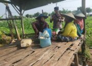 Bhabinkamtibmas Polsek Tuban Sambang Petani, Perkuat Sinergi dan Dukung Ketahanan Pangan