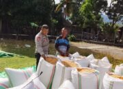 Bhabinkamtibmas Desa Sawe Pantau Pengemasan Hasil Panen Jagung, Edukasi Petani Penuhi Standar Distribusi ke Bulog