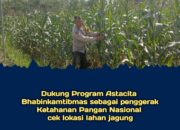 Dukung Astacita, Polsek Jatirogo Polres Tuban Pantau Langsung Lahan Jagung Warga Desa Bader