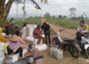 BHABINKAMTIBMAS DESA SANEO LAKSANAKAN SAMBANG PETANI JAGUNG, DUKUNG PROGRAM KETAHANAN PANGAN NASIONAL