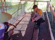 BHABINKAMTIBMAS DESA DOREBARA DORONG PEMANFAATAN LAHAN PEKARANGAN UNTUK MENDUKUNG KETAHANAN PANGAN KELUARGA