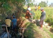 Babinsa Monitoring Irigasi Tersier, Perkuat Harapan Petani di Peteluan Indah