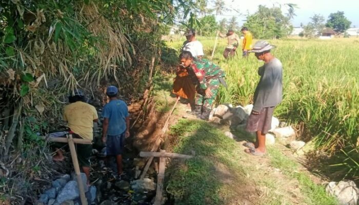 Babinsa Monitoring Irigasi Tersier, Perkuat Harapan Petani di Peteluan Indah