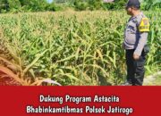 Dukung Astacita, Polsek Jatirogo Polres Tuban Pantau Langsung Lahan Jagung Warga Desa Demit